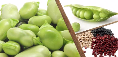 Legumes and pulses